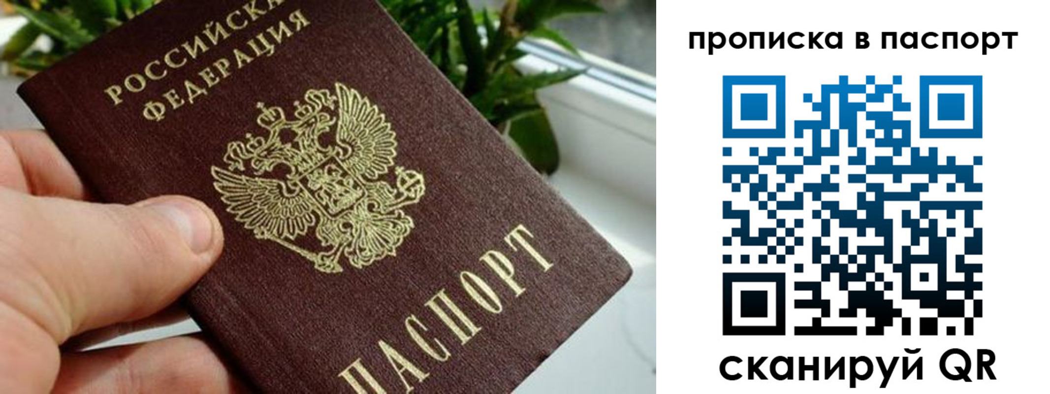 пропишу в квартире в Касимове